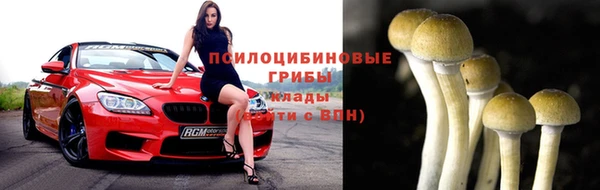 твердый Белокуриха