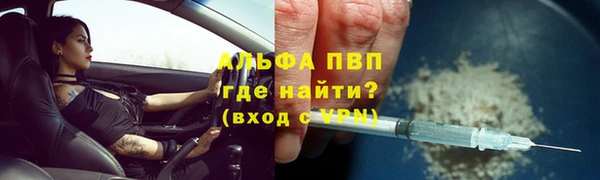 ГАЛЛЮЦИНОГЕННЫЕ ГРИБЫ Баксан